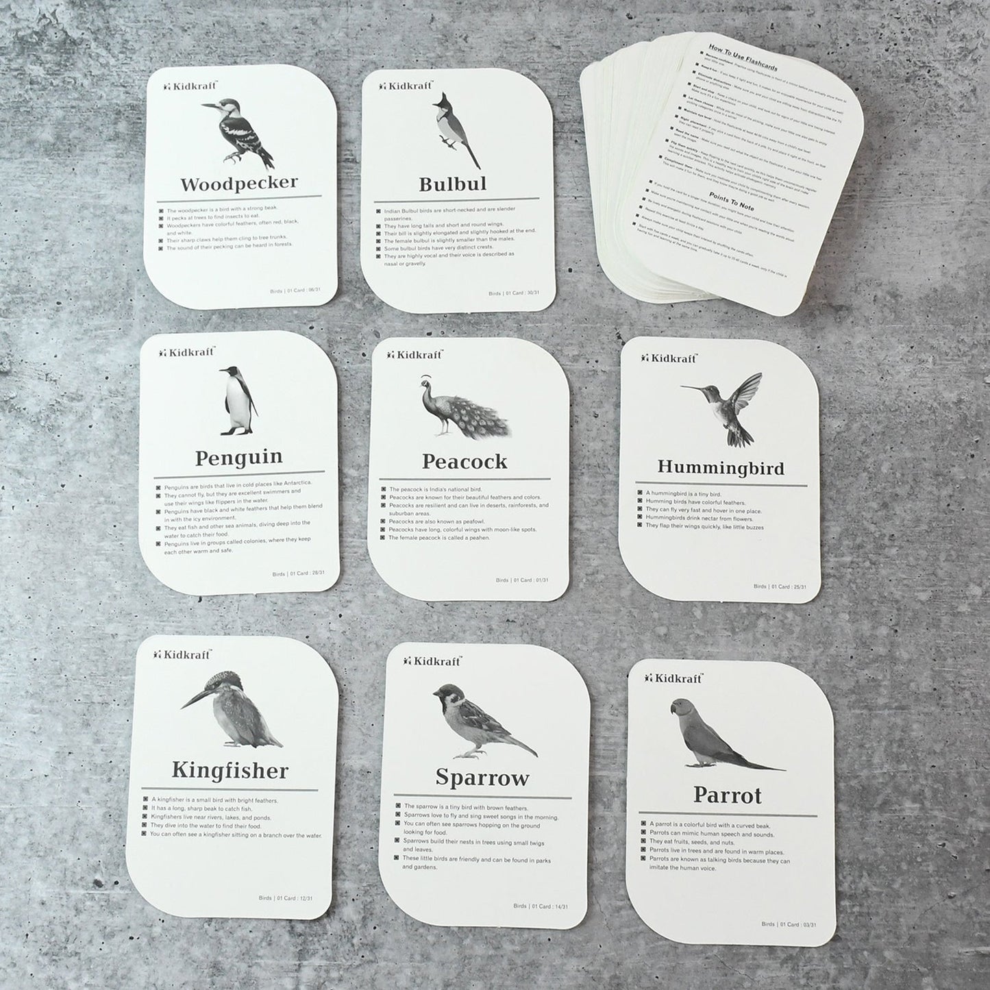 KidKraft Early Learner Educational Flashcards – 32 Birds