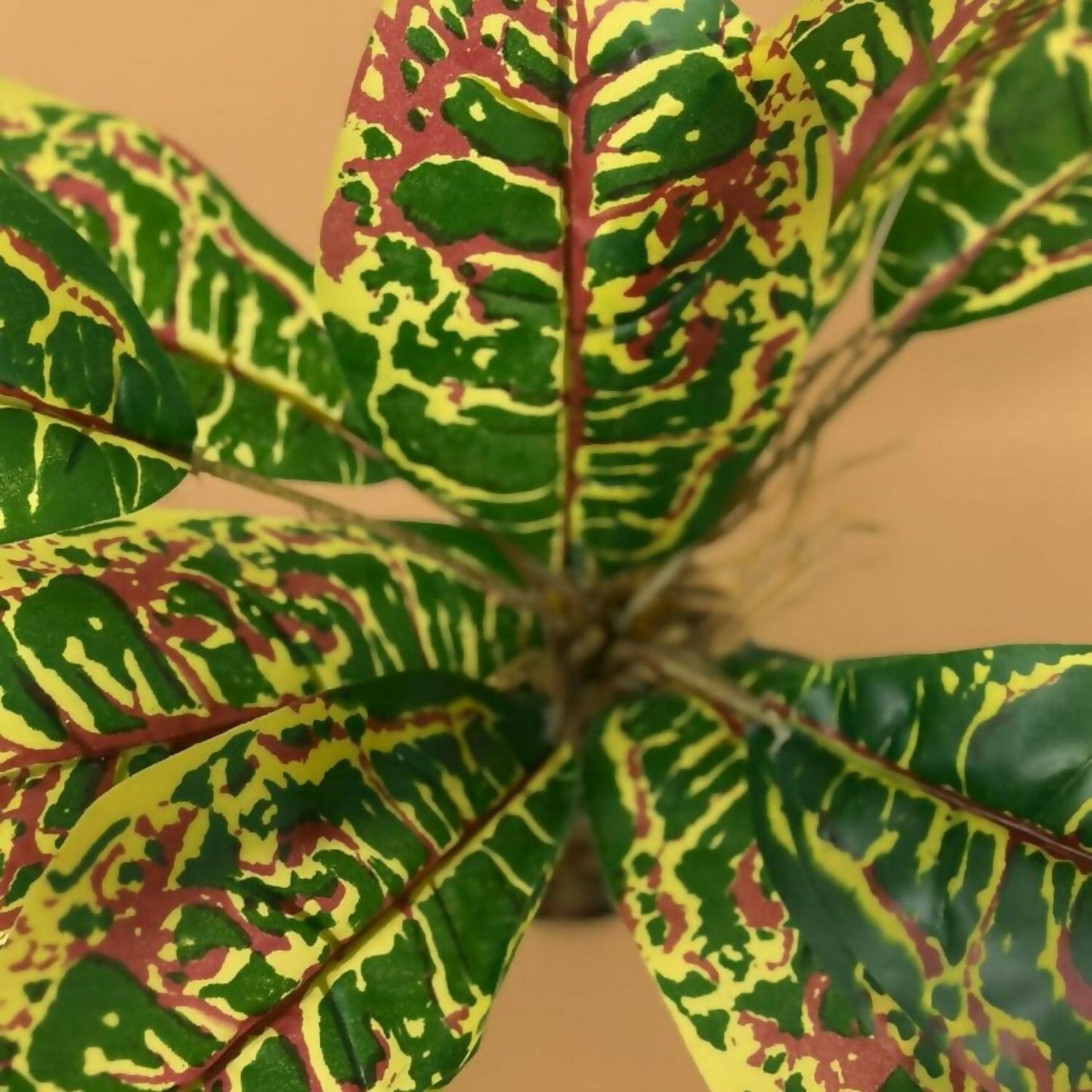 Artificial Decorative Leaf Plant with Pot for Home & Office Table Décor