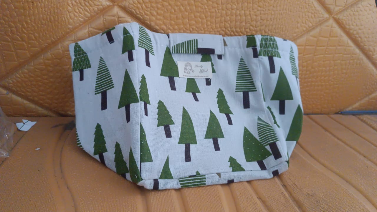 Multi-Purpose Travel Lunch Box Carrying Bag for Women, Men (1 Pc)