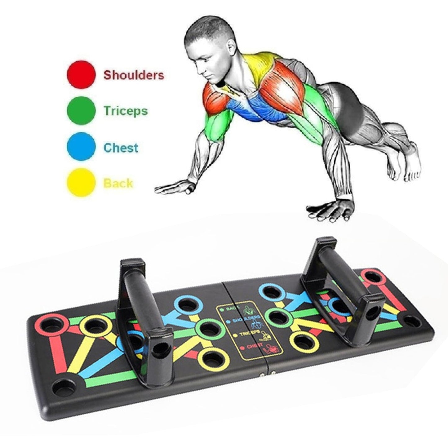 Body building push up board
