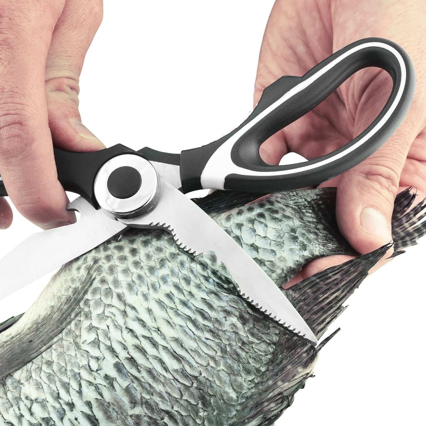 Scissor vegetable cutting use
