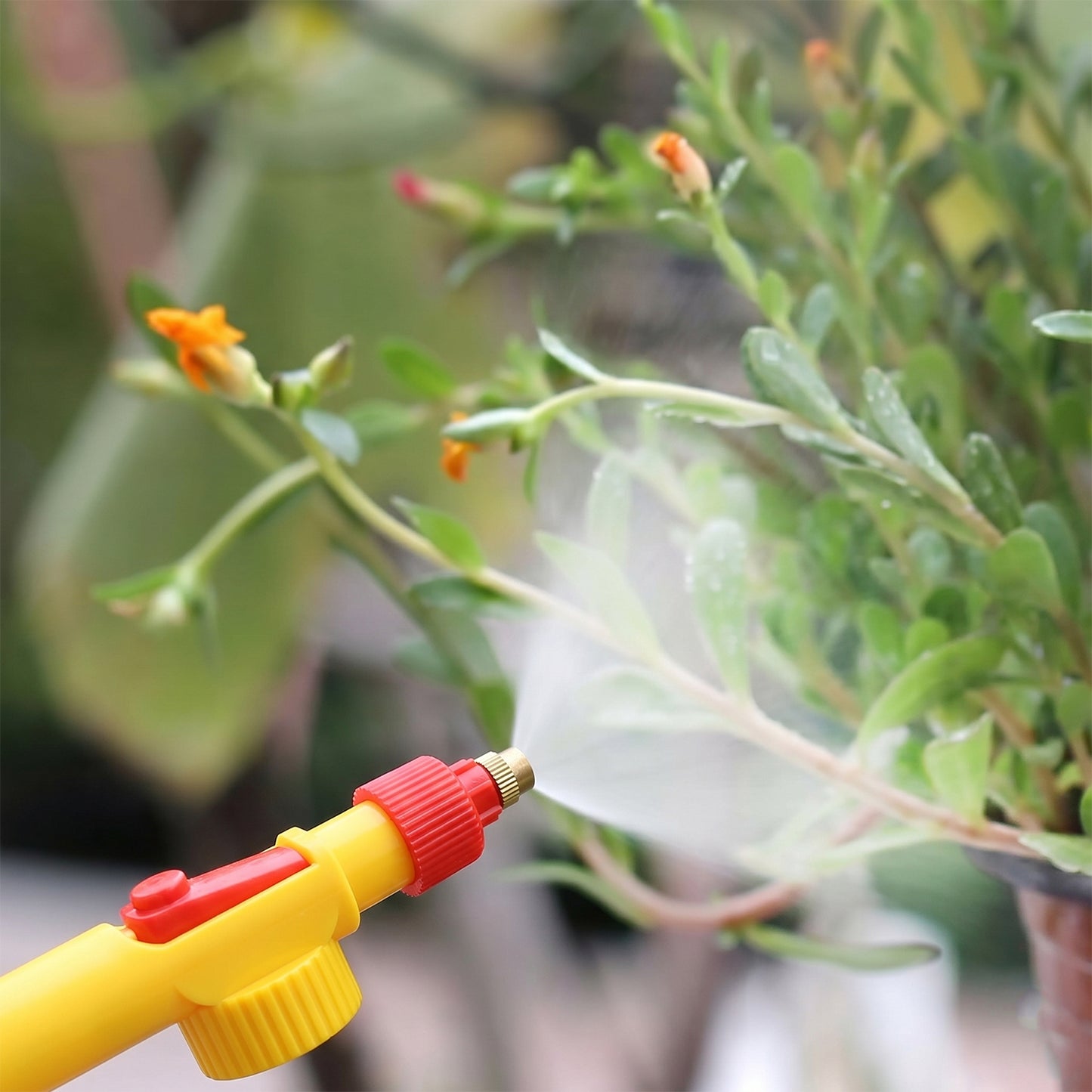 Bottle Sprayer for Plants Garden Pesticide Car Wash with Adjustable Brass Nozzle Sprayer (Handheld Pump)