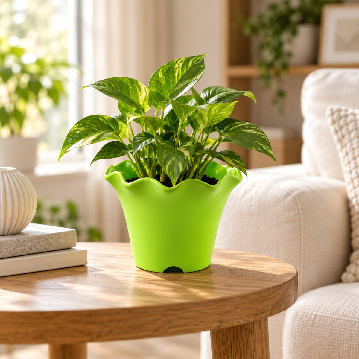 Home garden planter pot indoor