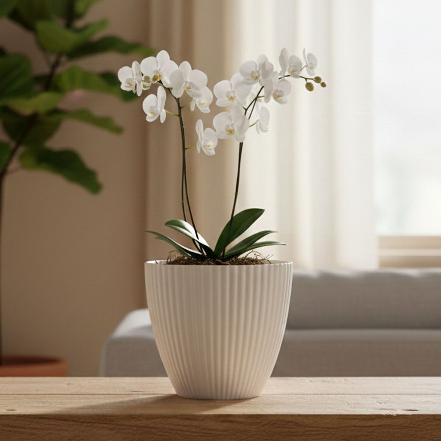 Premium White Ribbed Decorative Flower Pot (1 Pc)