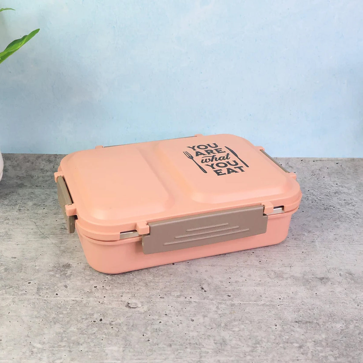 2 Partition Stainless Steel Lunch Box