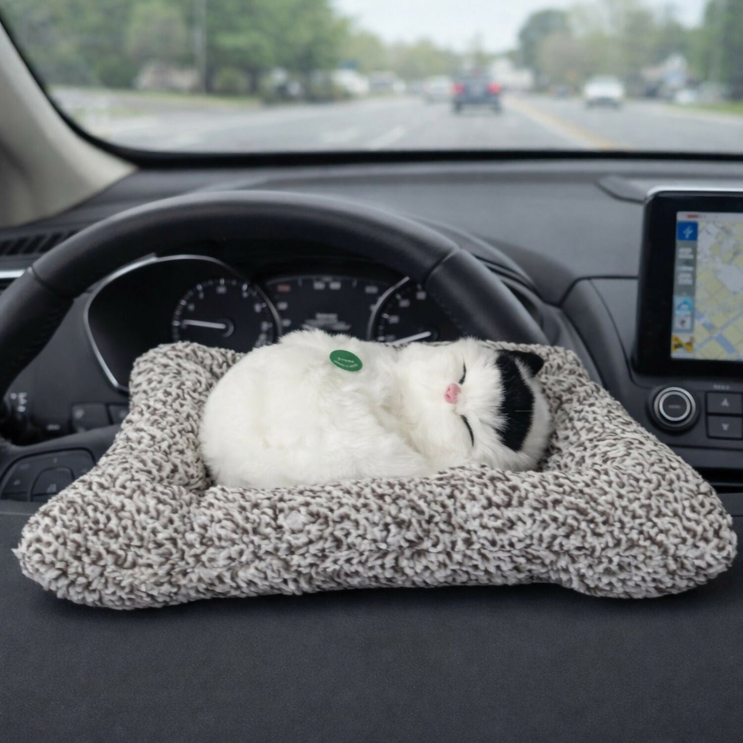 Sleeping Cat Showpiece on Cushion for Home, Office Desk & Car Dashboard Decor