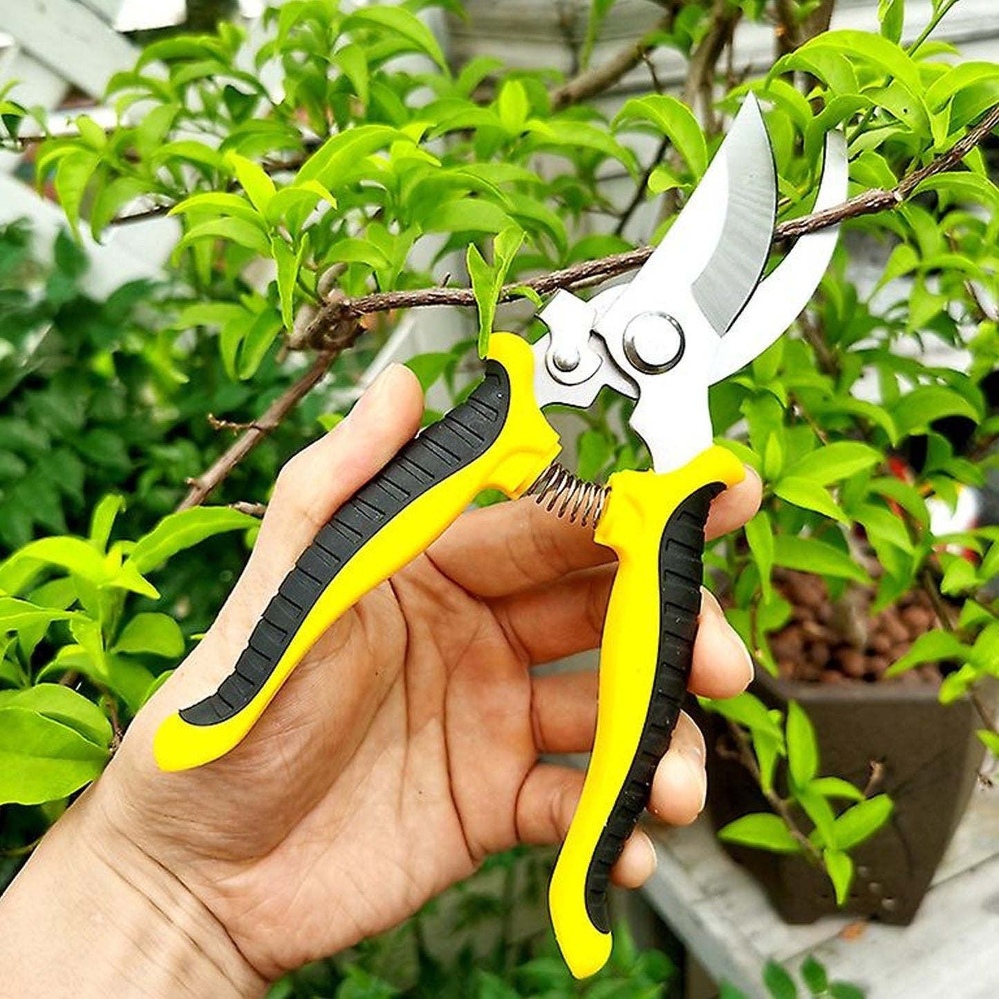 Close-up of steel garden pruner cutter for plants