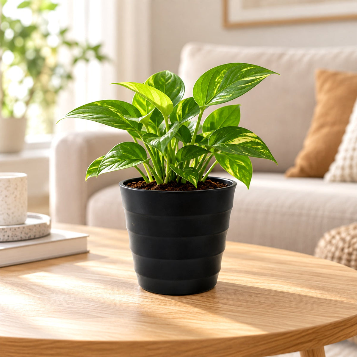 Ribbed Design Plastic Plant Pot for Home, Office and Indoor Plant Decor