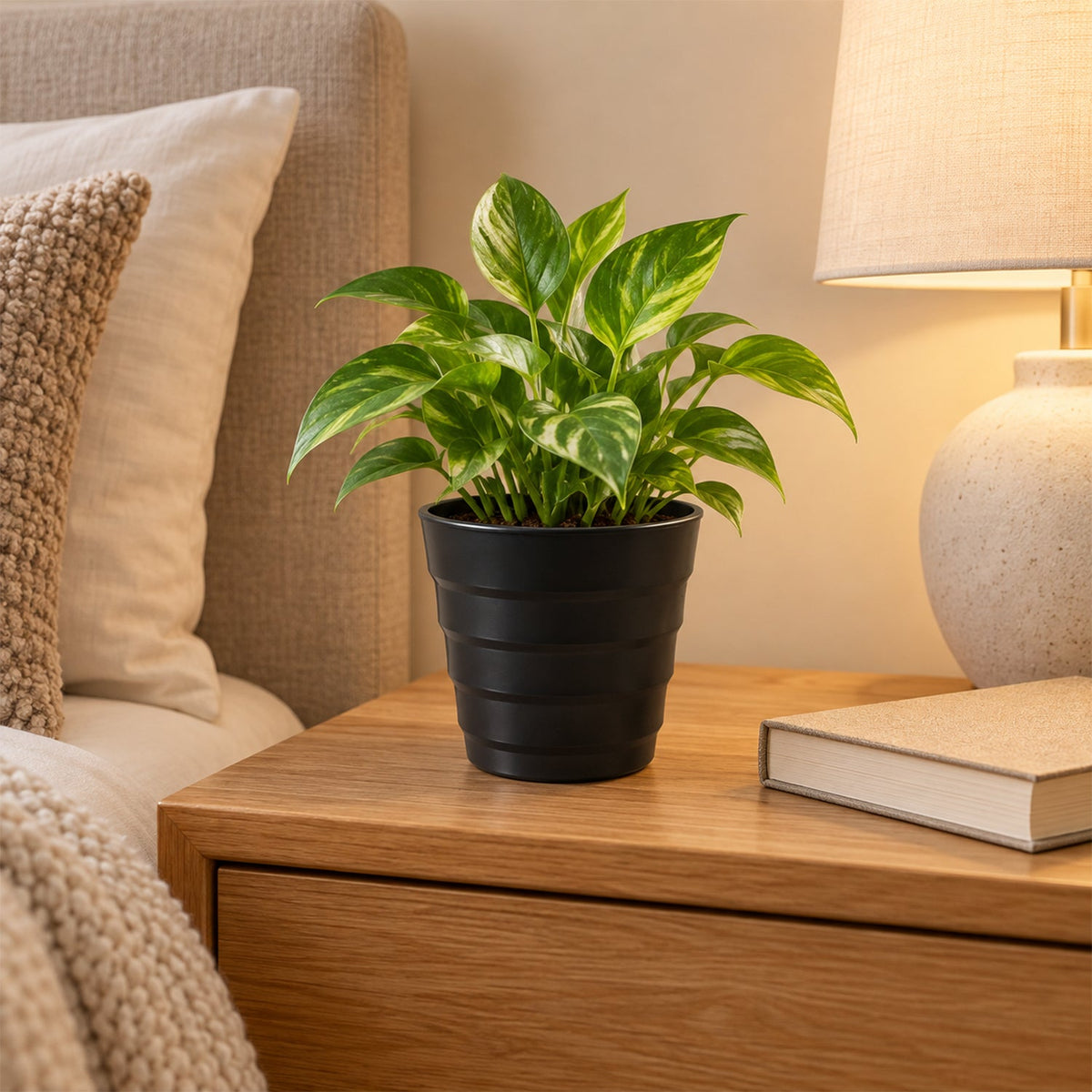 Decorative Plastic Planter Pot with Stylish Ribbed Design for Indoor Plants