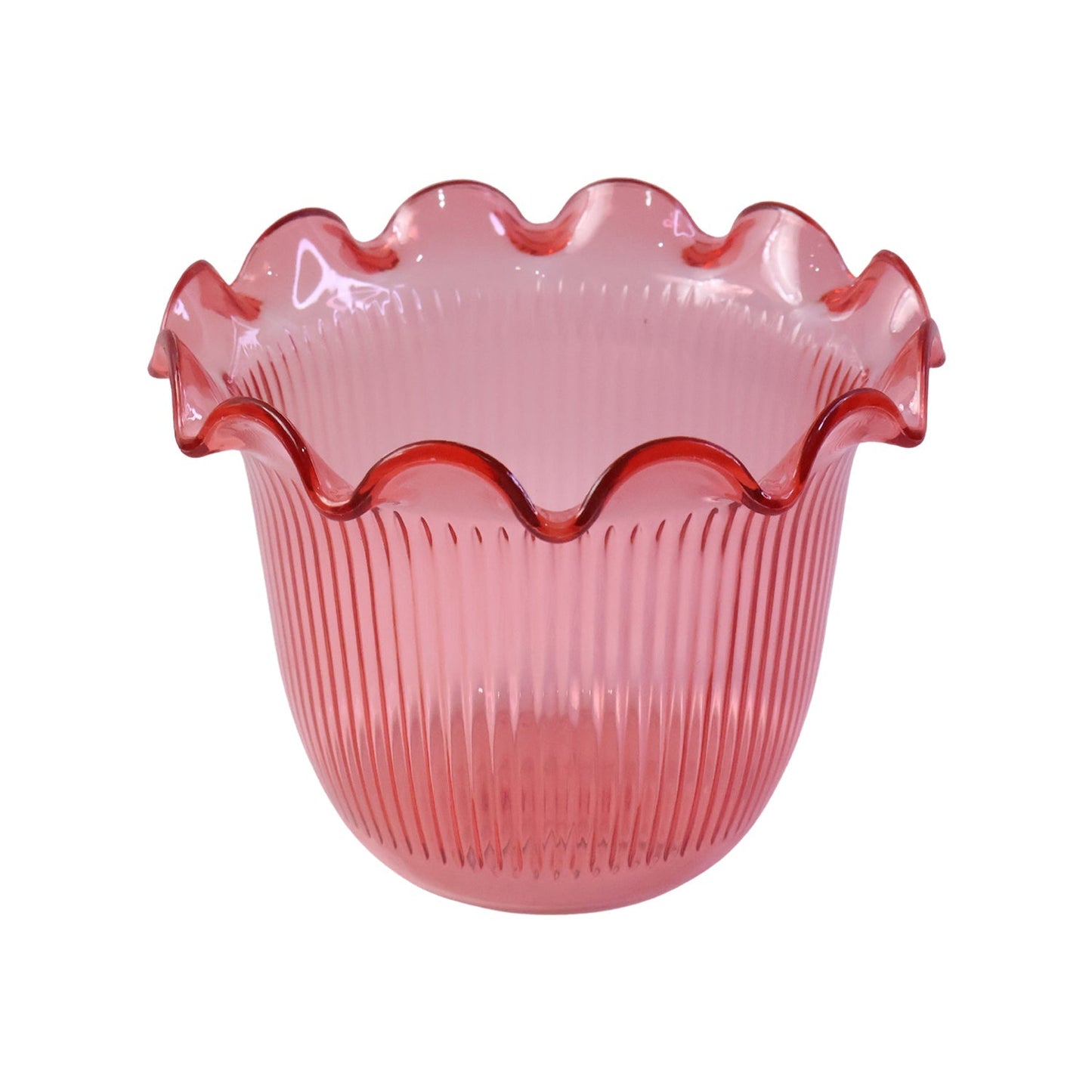 Flower pot white bg