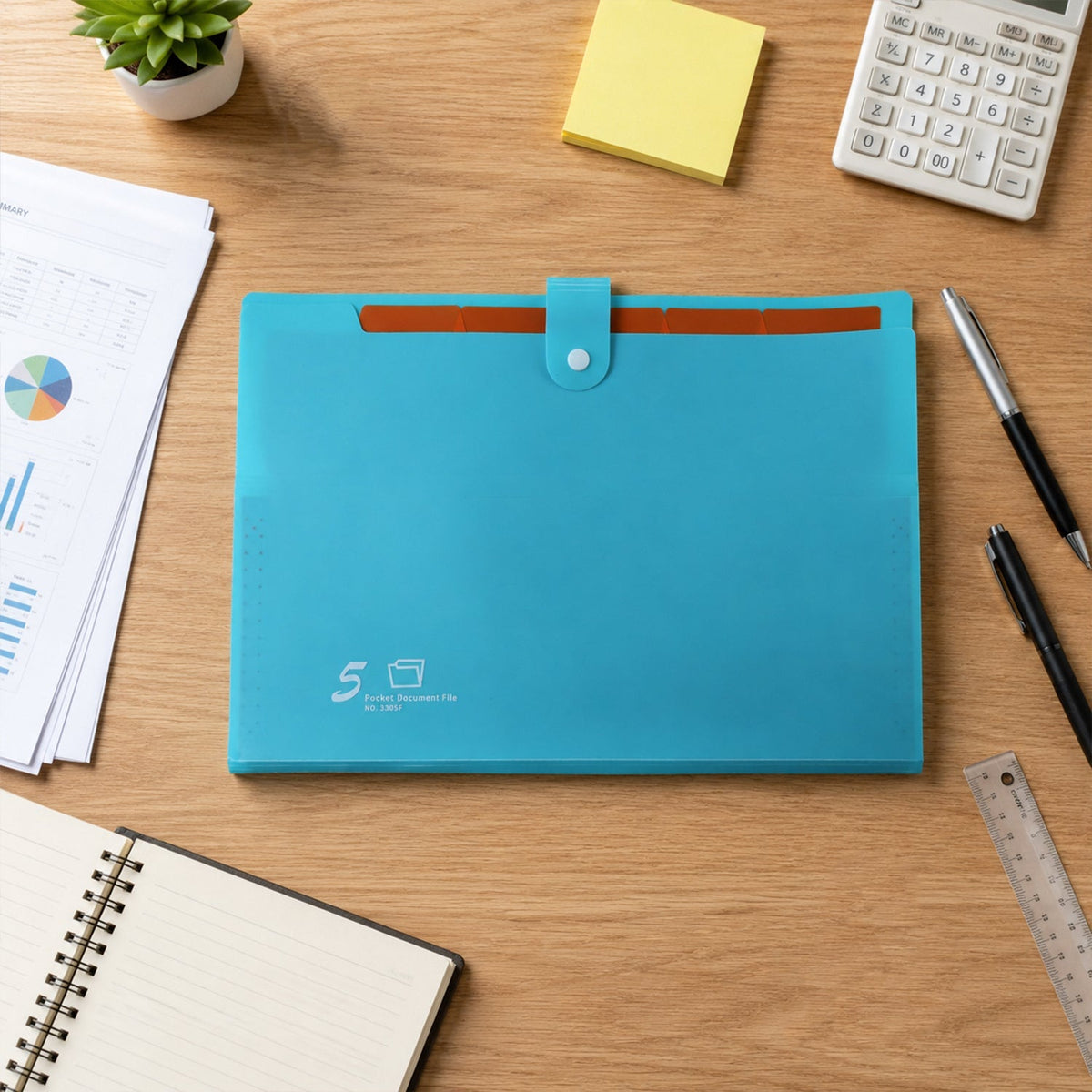 Expandable file organizer office school
