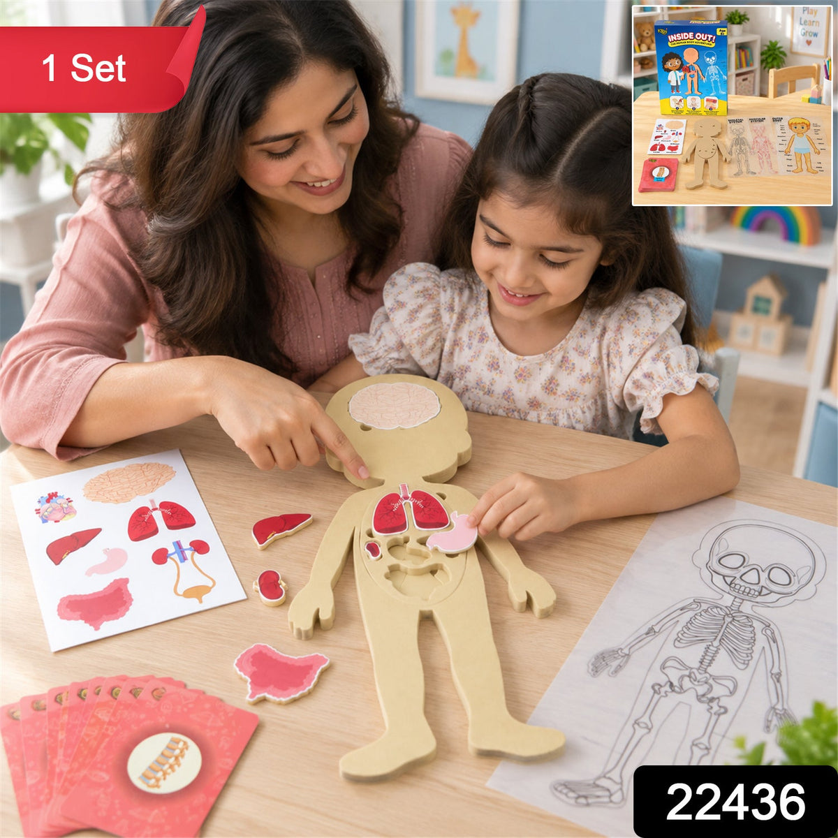 Anatomy puzzle pack
