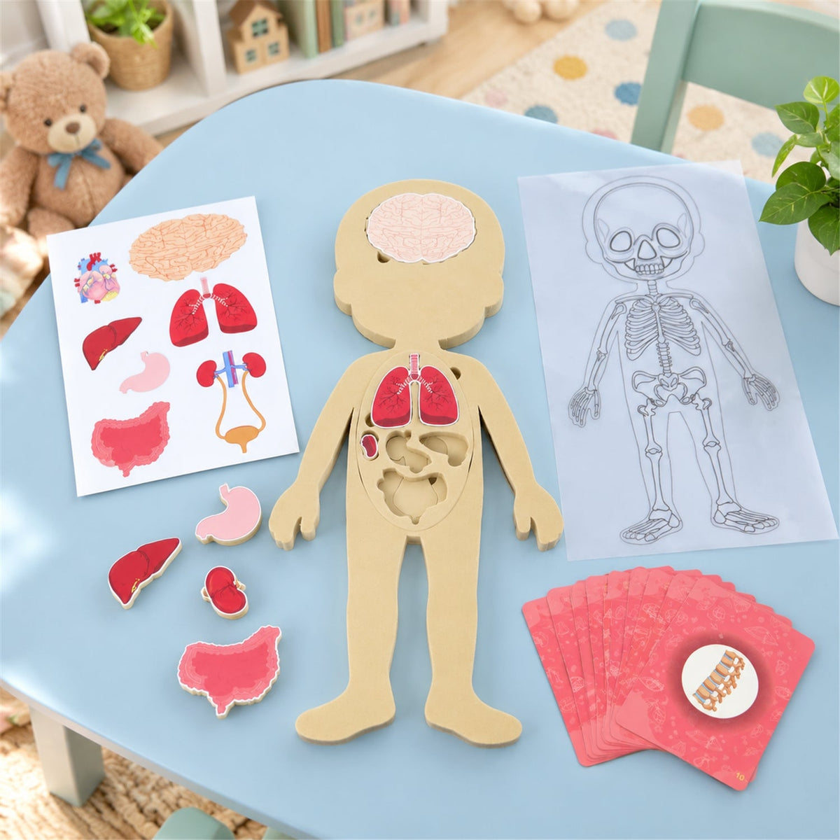 Educational organ puzzle kids learning