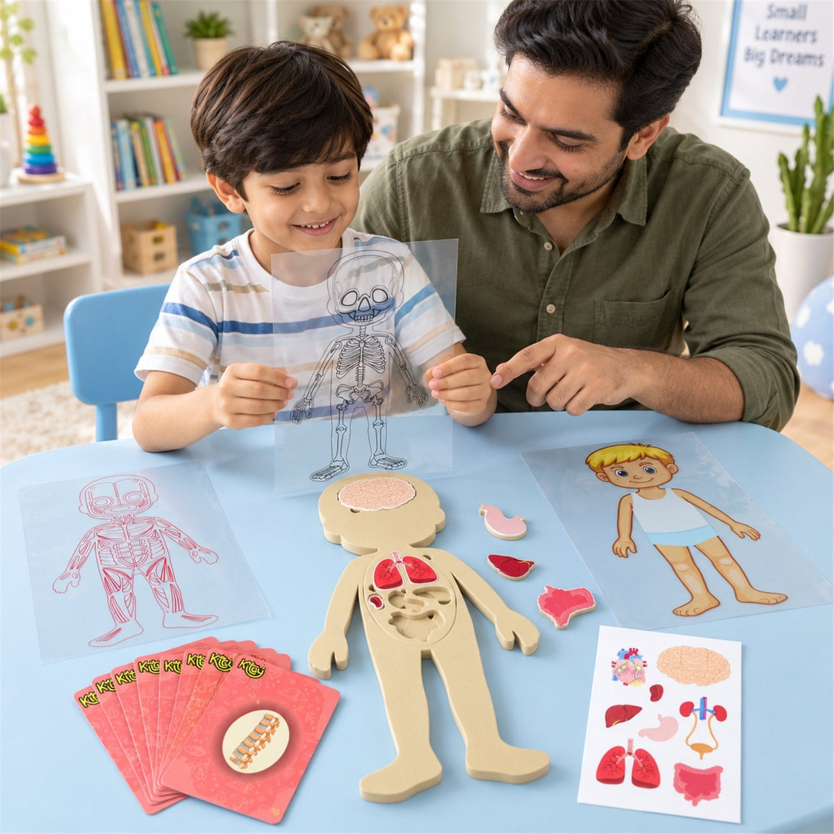 Anatomy puzzle pieces detail
