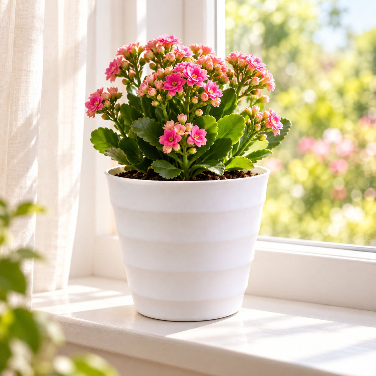 Indoor outdoor modern planter pot