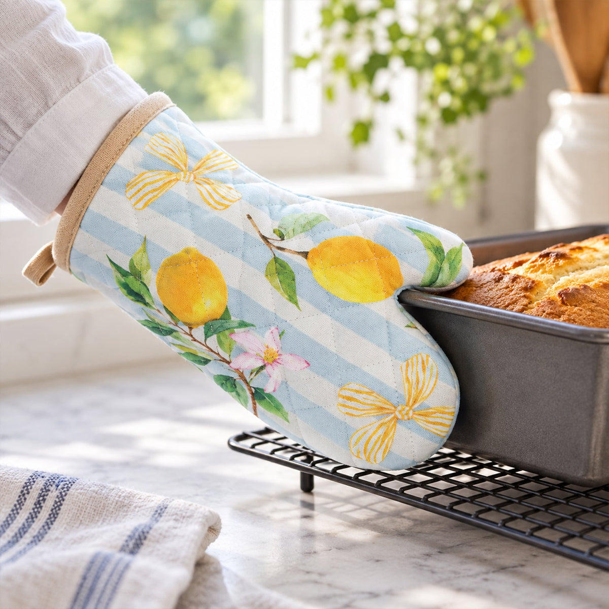Oven glove interior view