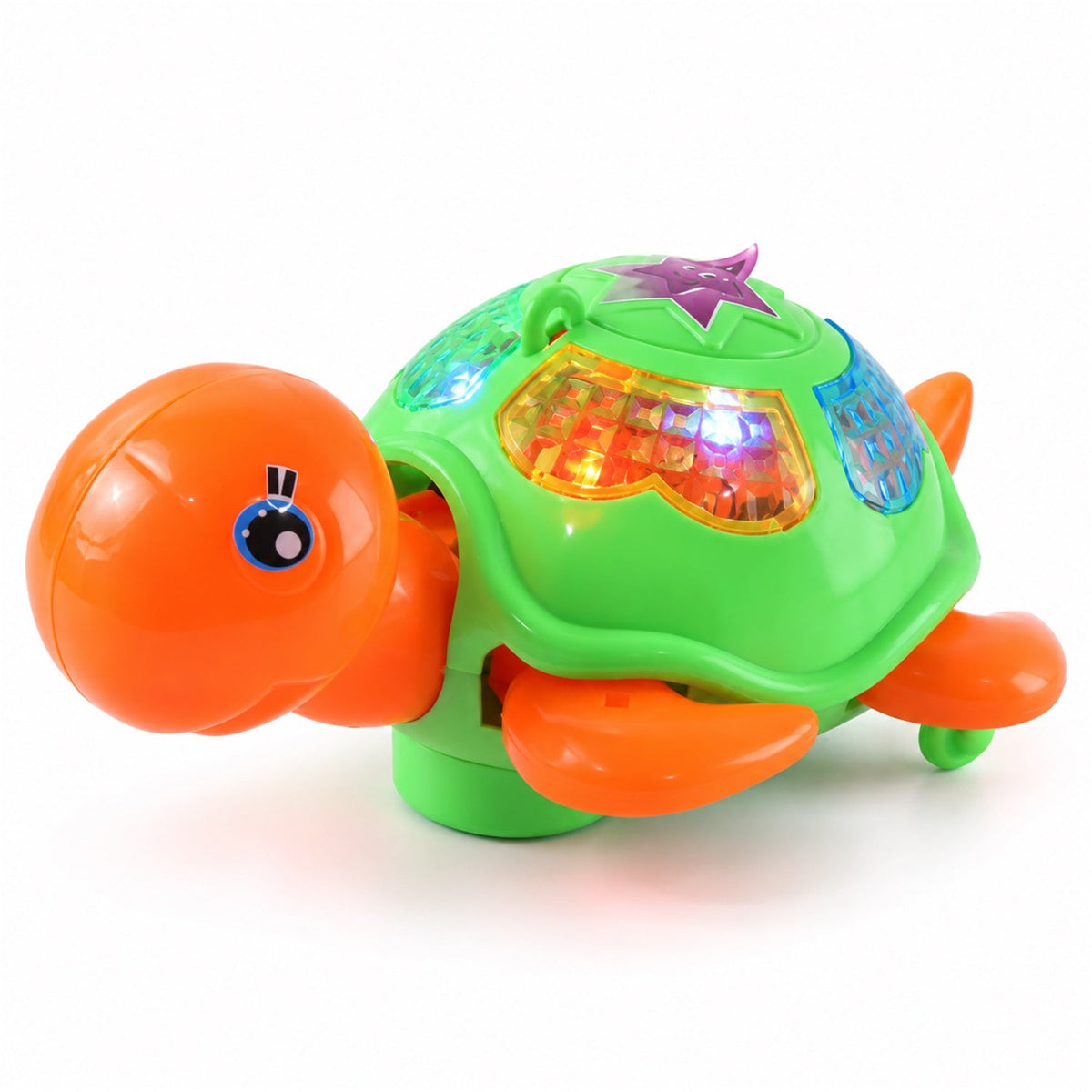 Orange and Green Tortoise