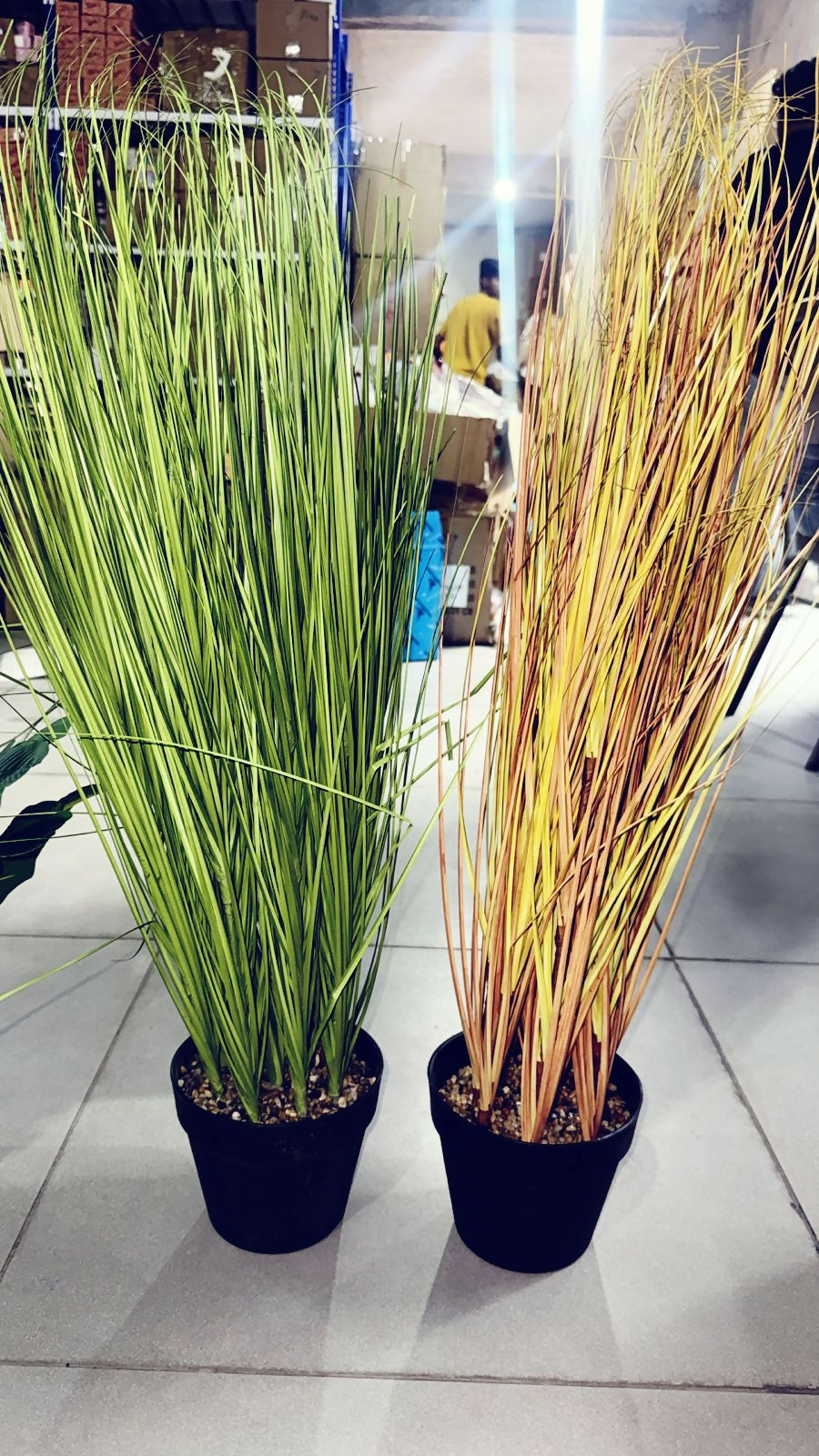 Artificial Decorative Grass Plant in Pot for Home & Office DÃ©cor