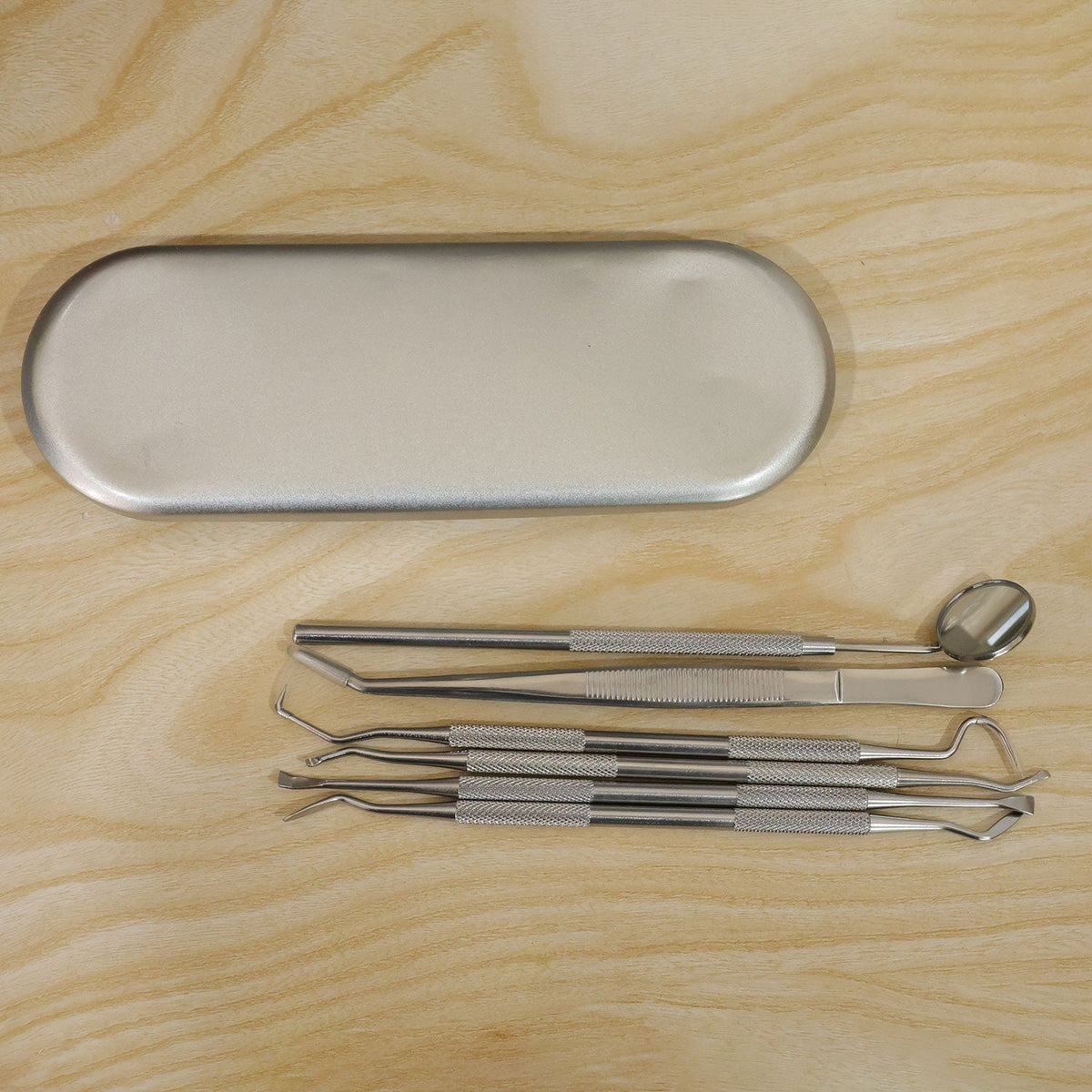 Stainless Steel Dental Tool Set with Mirror, Tweezers & Travel Case (1 Set)
