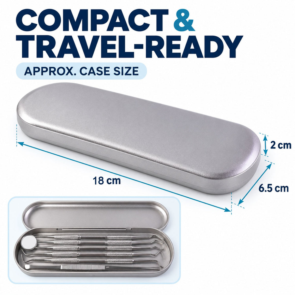 Stainless Steel Dental Tool Set with Mirror, Tweezers & Travel Case (1 Set)