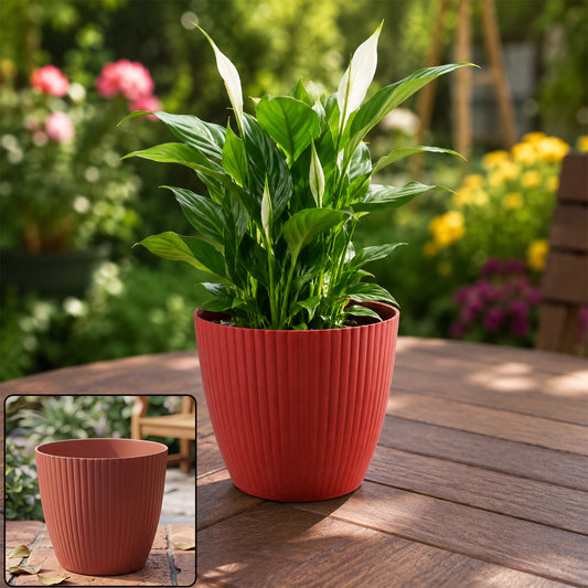 Flower Pots Round Shape For Indoor / Outdoor Gardening