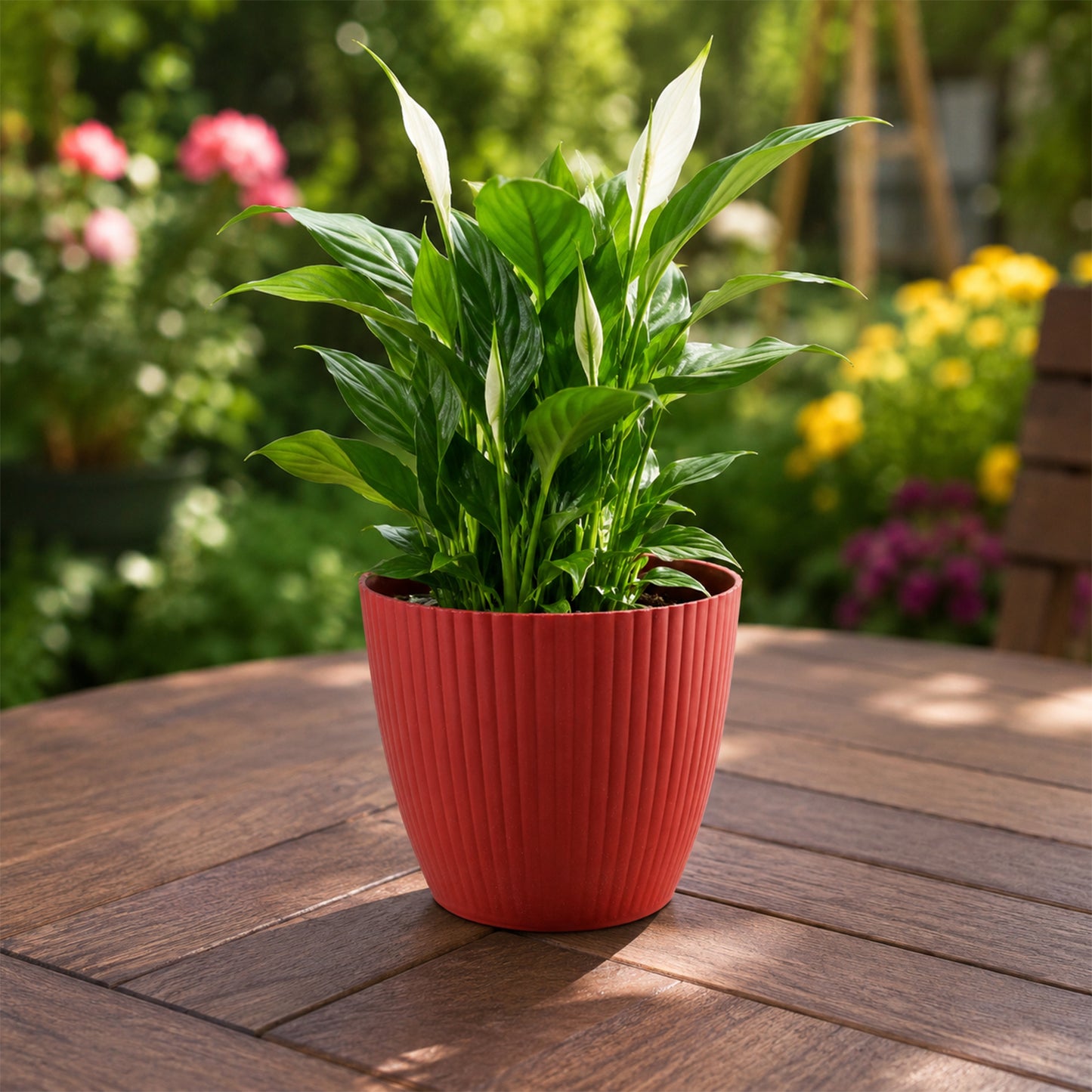 Flower Pots Round Shape For Indoor / Outdoor Gardening