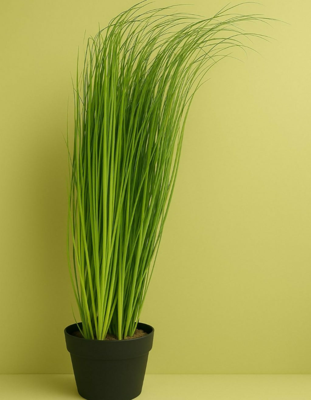 Artificial Decorative Grass Plant in Pot for Home & Office DÃ©cor