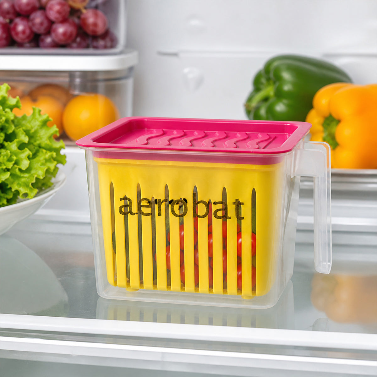 Fridge Storage Containers with Handle Plastic Storage Container for Kitchen(4 Pcs Set)