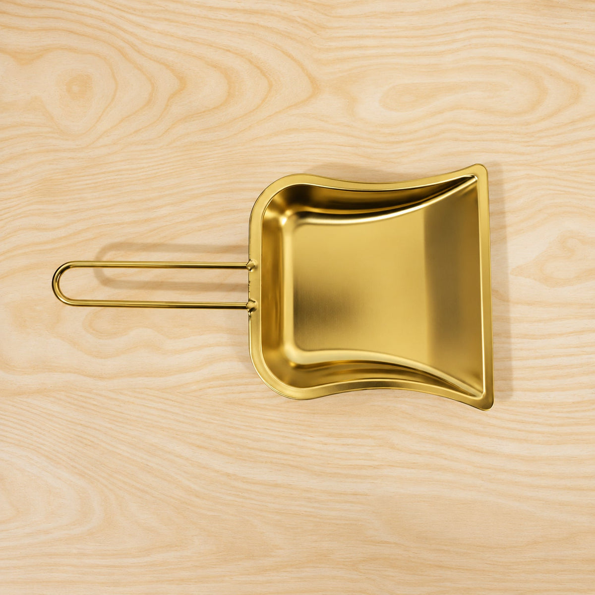 Golden dustpan cleaning use