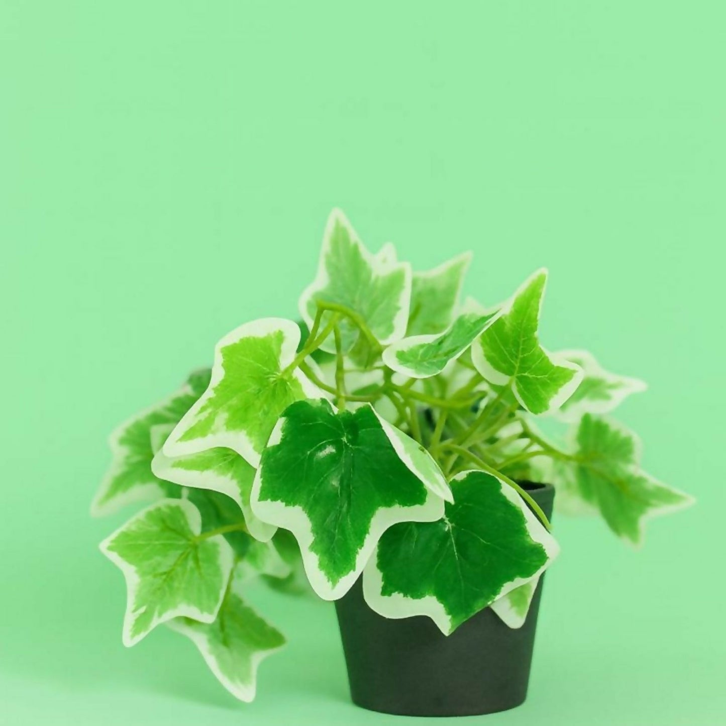 Artificial Ivy Leaf Tabletop Plant with Pot for Home & Office DÃ©cor