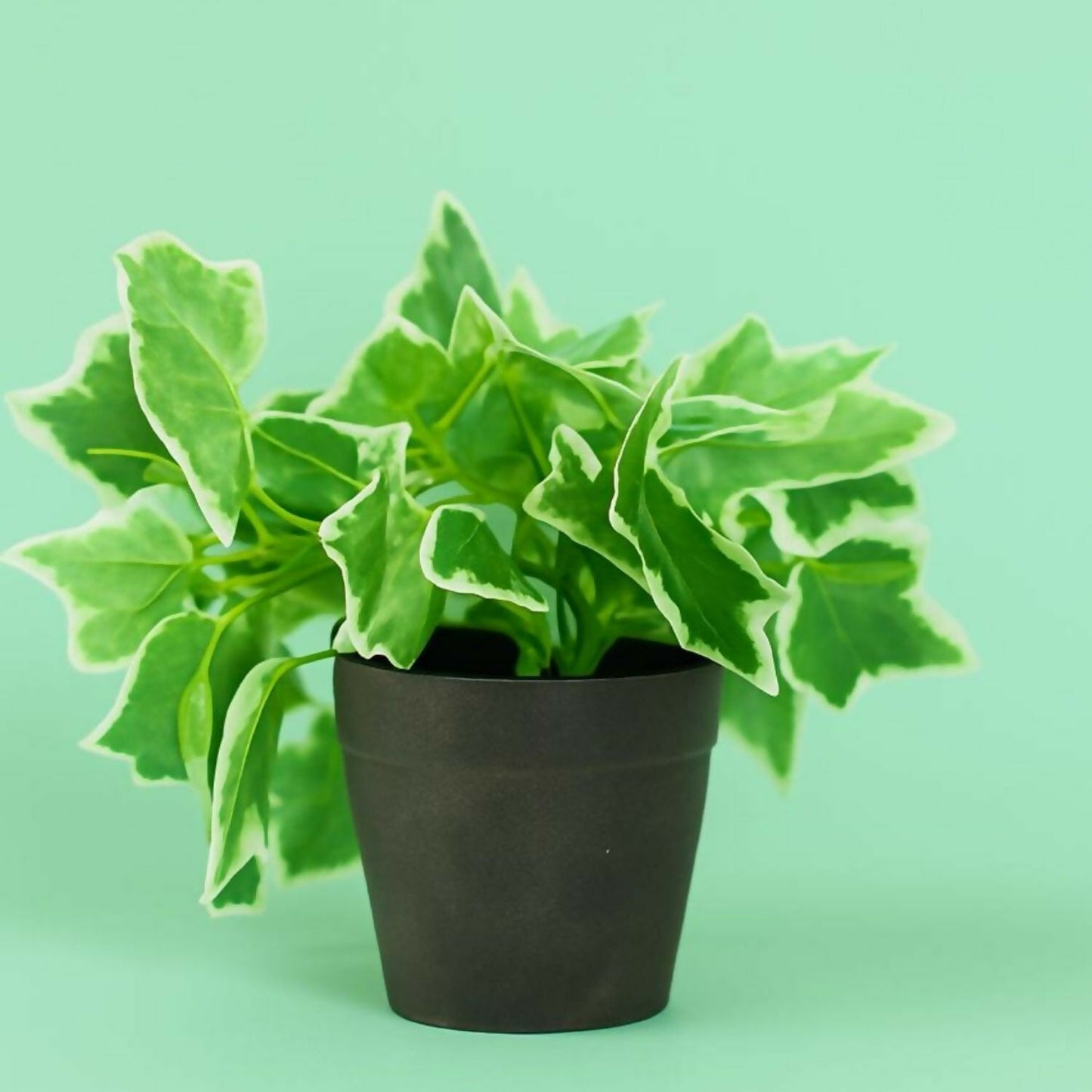 Artificial Ivy Leaf Tabletop Plant with Pot for Home & Office DÃ©cor