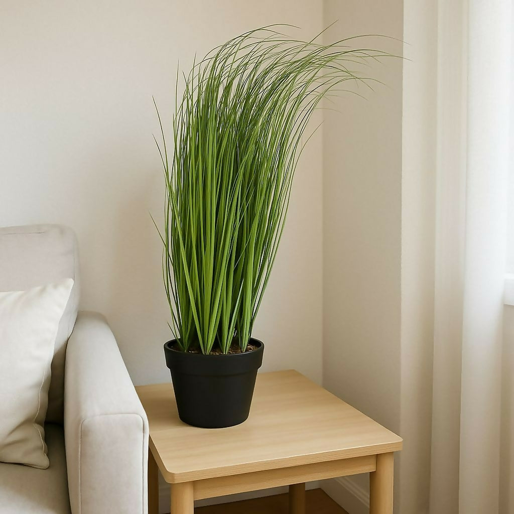 Artificial Decorative Grass Plant in Pot for Home & Office DÃ©cor